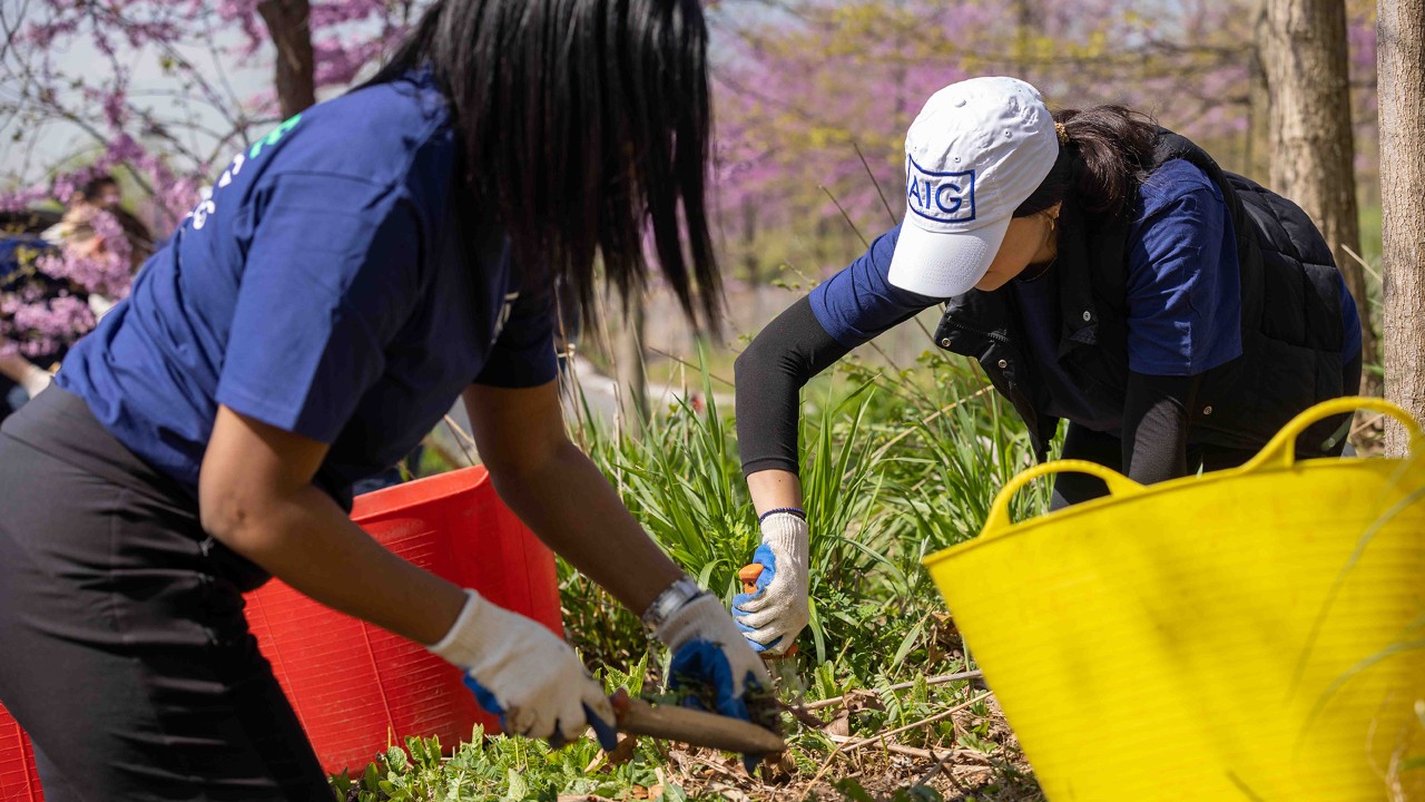 Colleagues volunteering to support Governors Island during AIG Global Volunteer Month (2023)