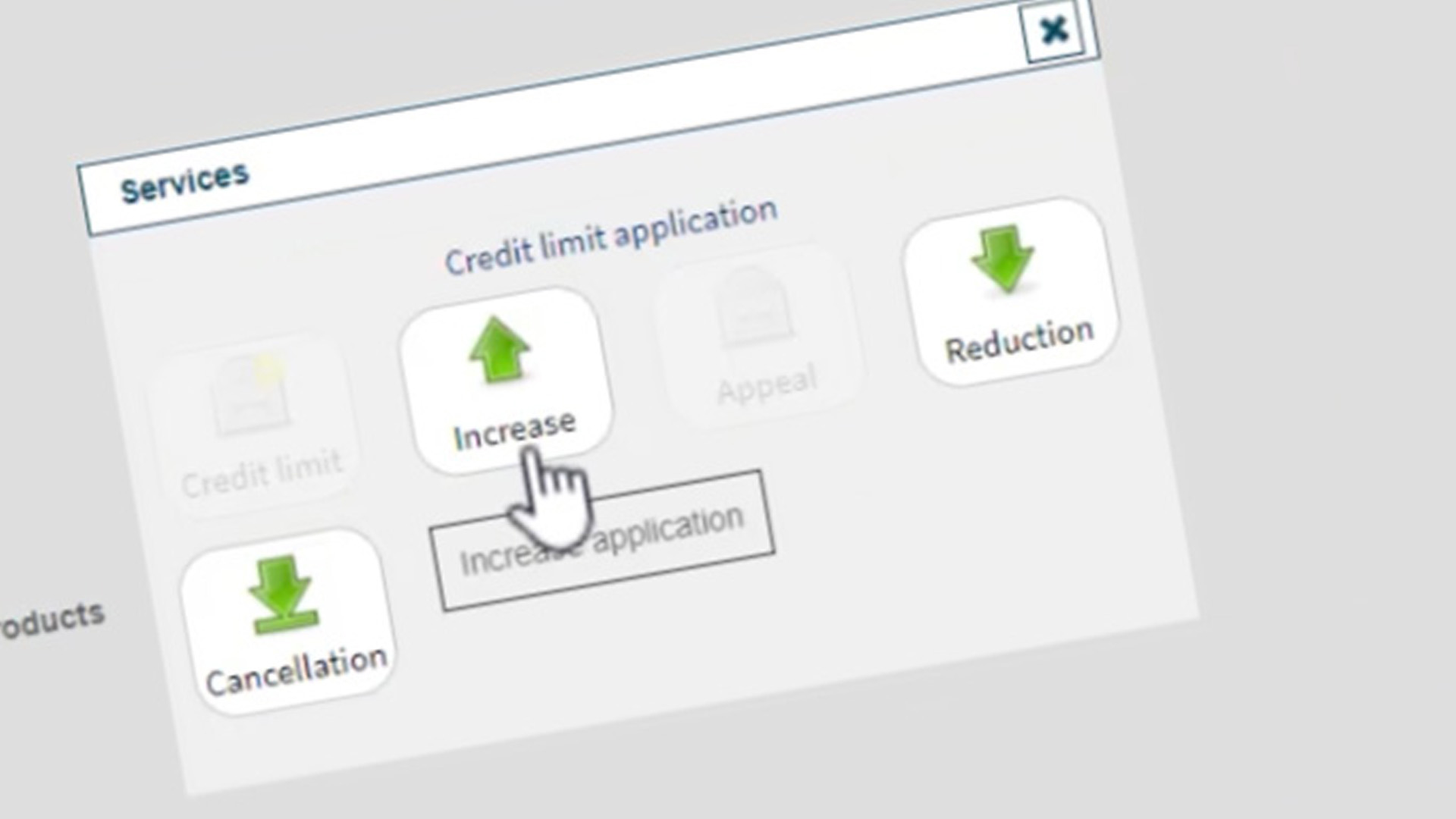 TradEnable Portal Demonstration: Changing a buyers limit